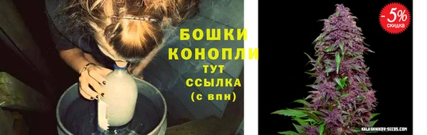 прущий лед Арсеньев