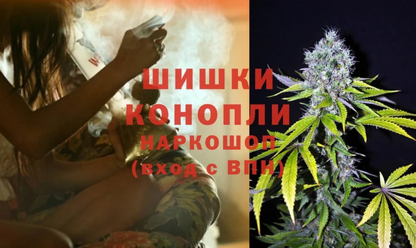 стафф Аркадак
