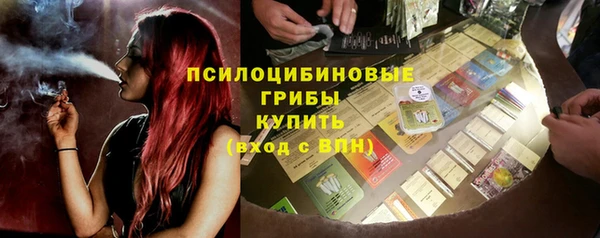 прущий лед Арсеньев